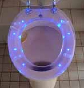 Glow in dark toilet seat 