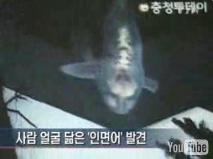 http://www.craphound.com/images/humanfacedcarp.jpg