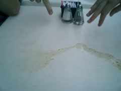 The Stain, by Kelly Link